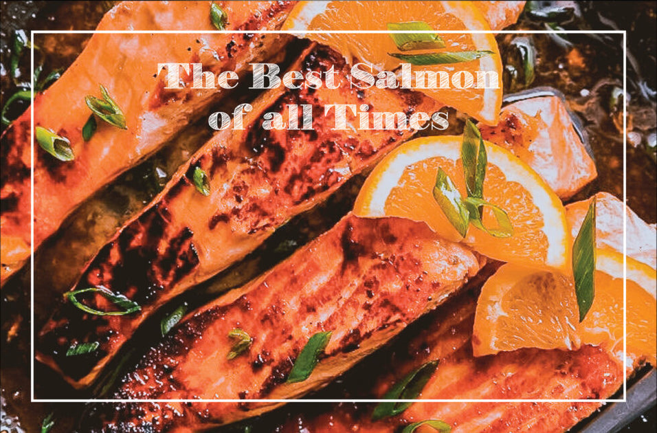 The Best Salmon Recipe of All Time – Hive Hero Fundraising